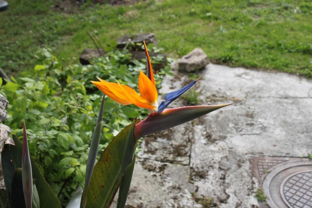La Eria De Colombres Villa Cameră foto